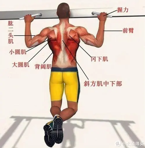網(wǎng)球拍配套的護具是什么 網(wǎng)球拍配套的護具是什么